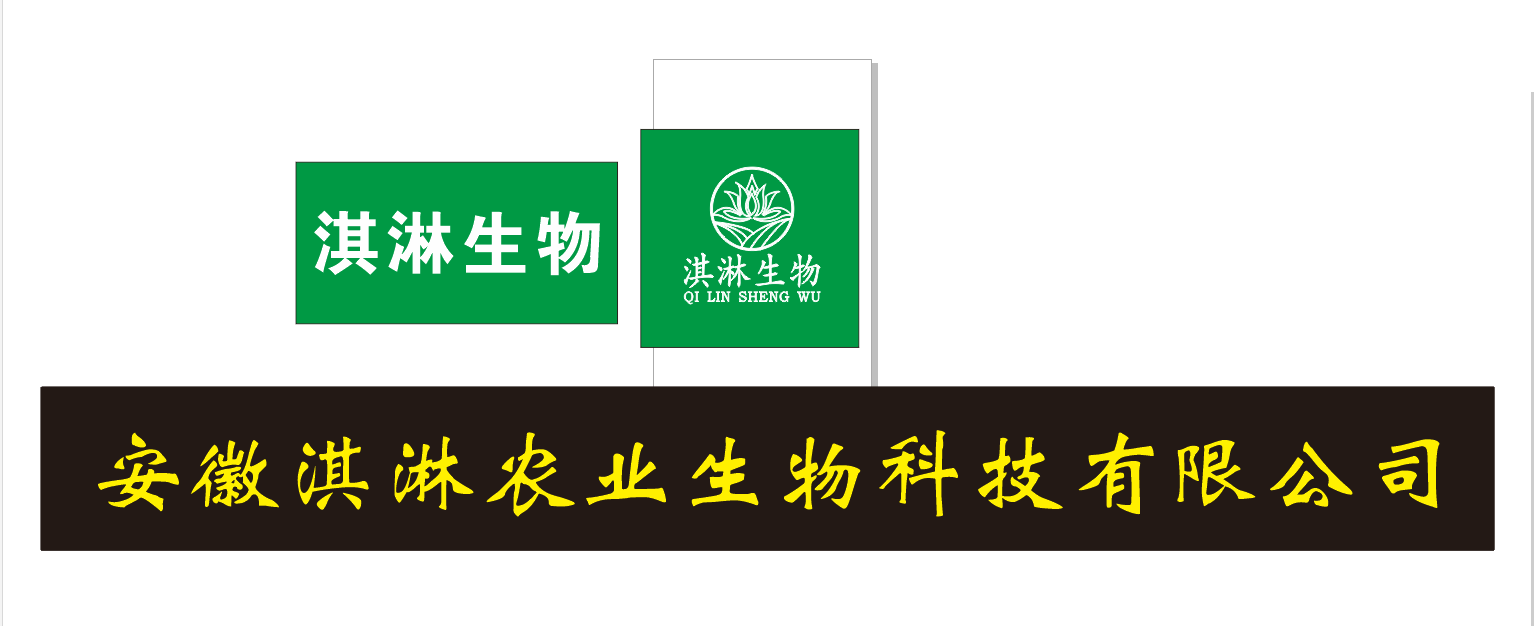 相册图片1