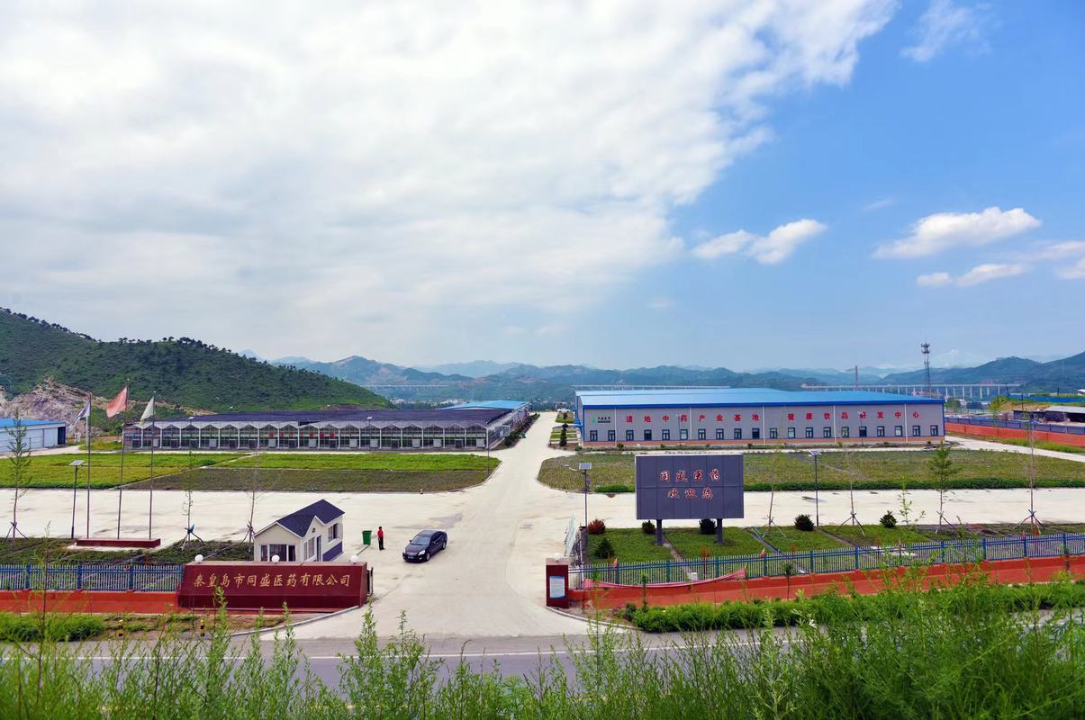 相册图片5