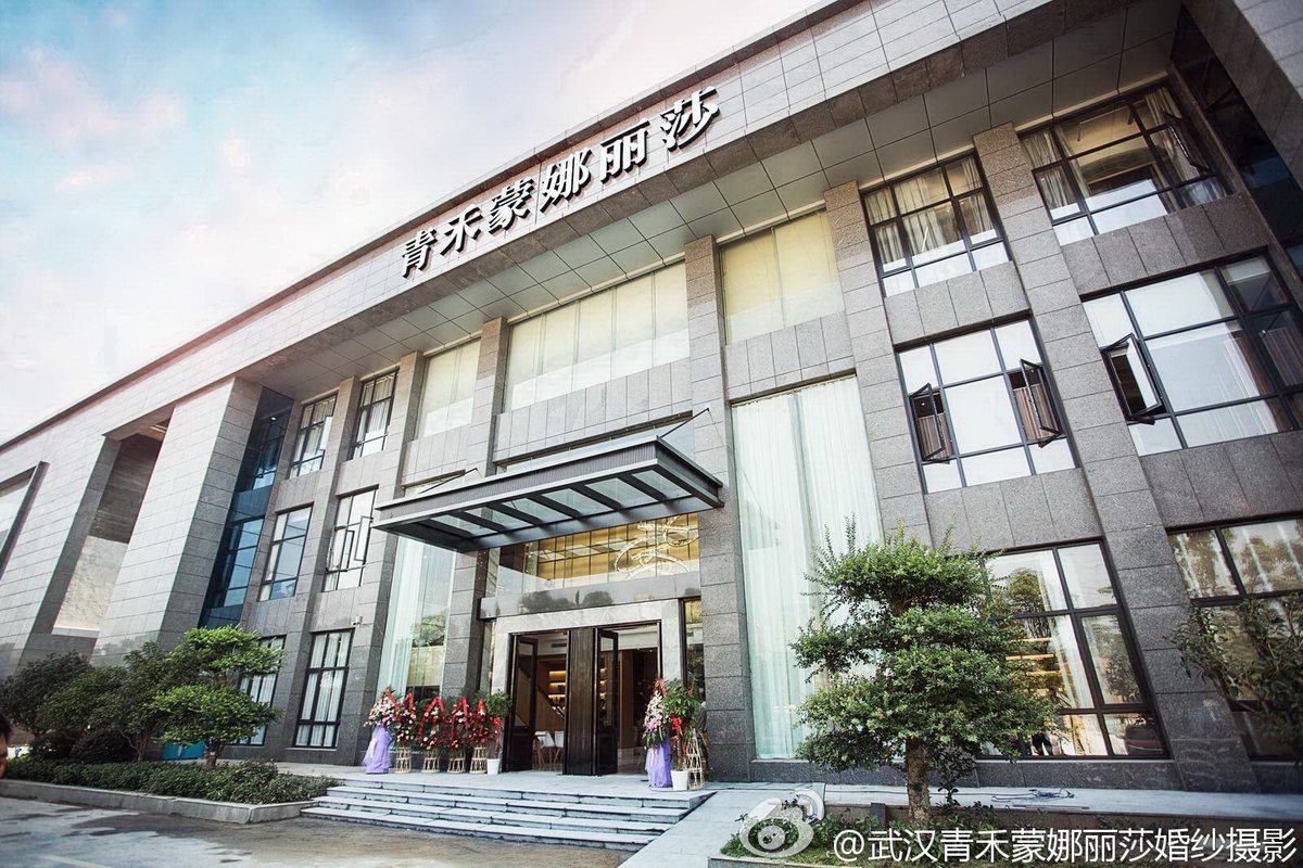 青禾蒙娜丽莎文化传播武汉有限公司