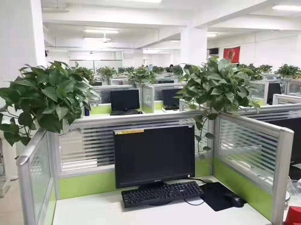 相册图片4