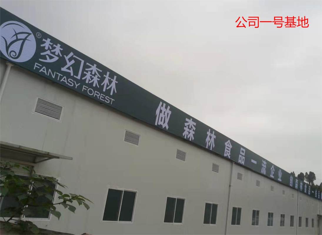 相册图片2