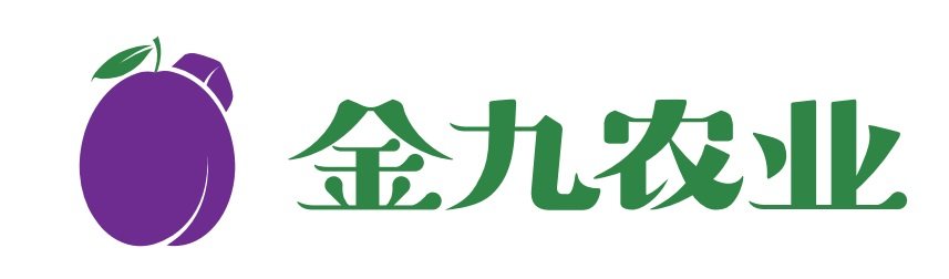 相册图片1