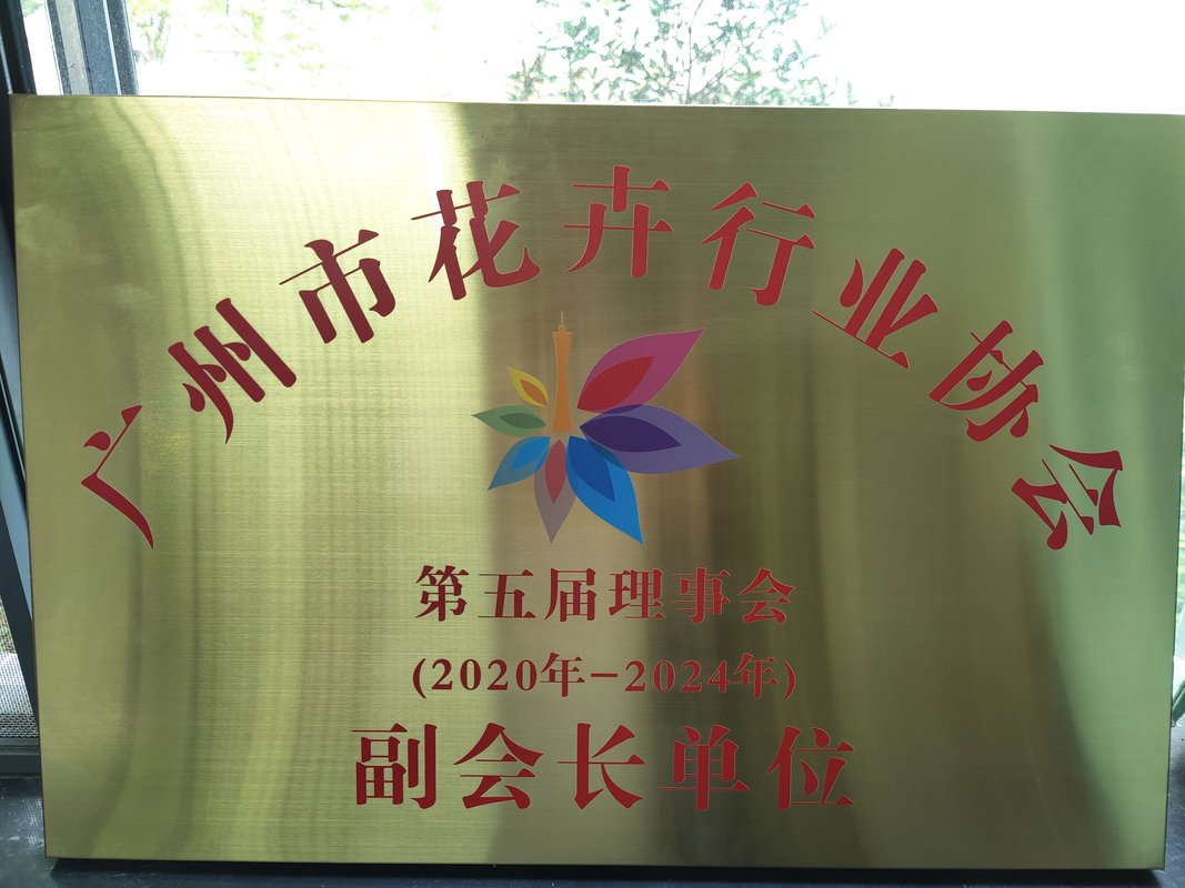 相册图片1