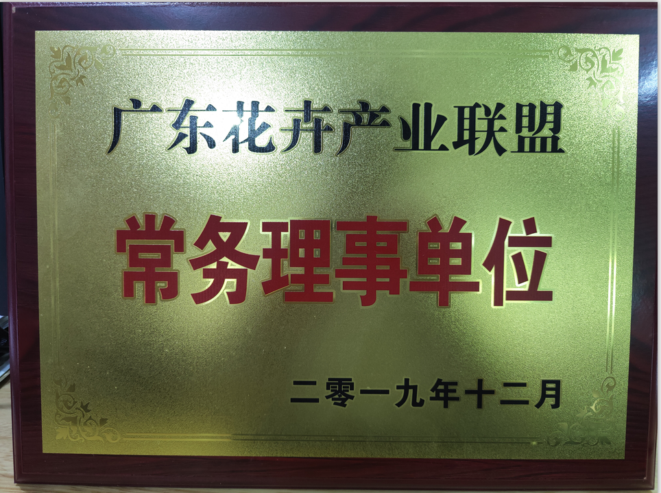 相册图片2