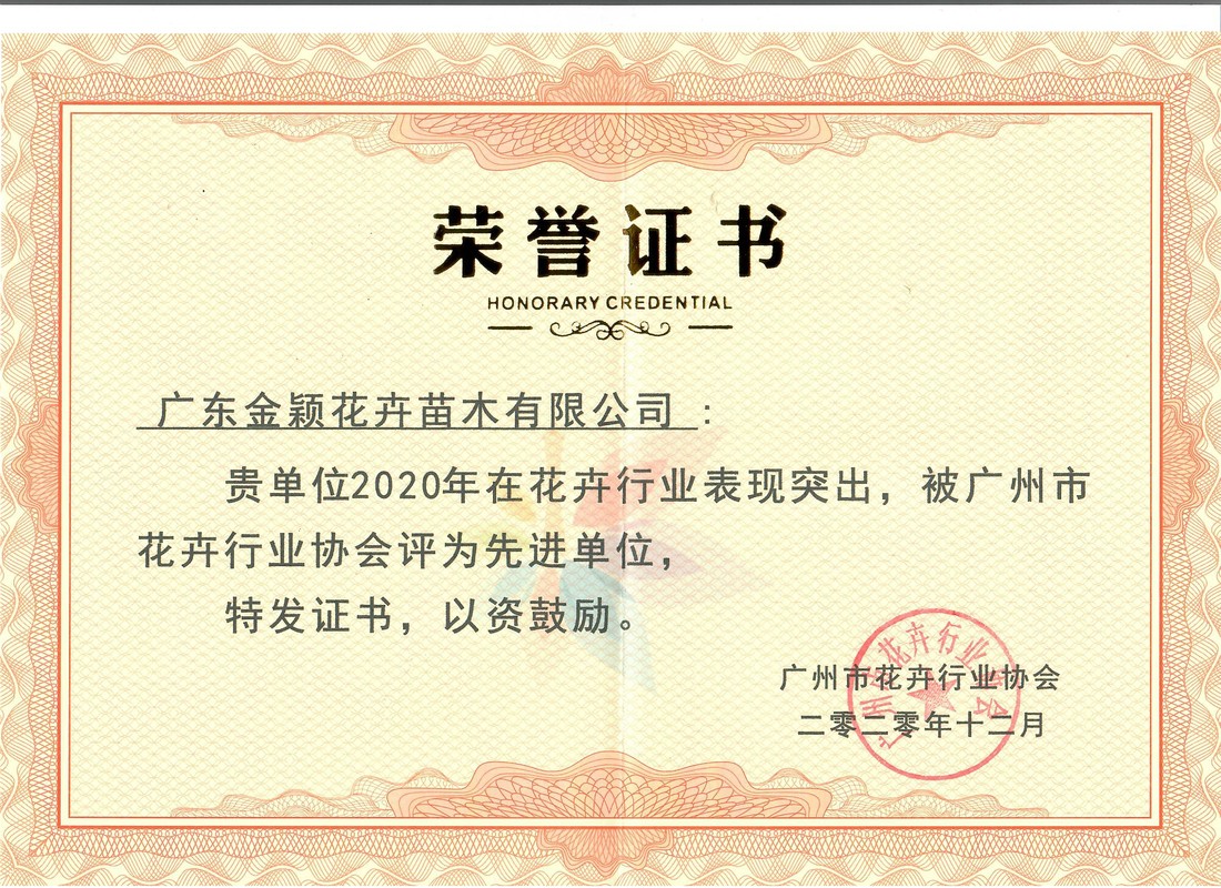 相册图片3