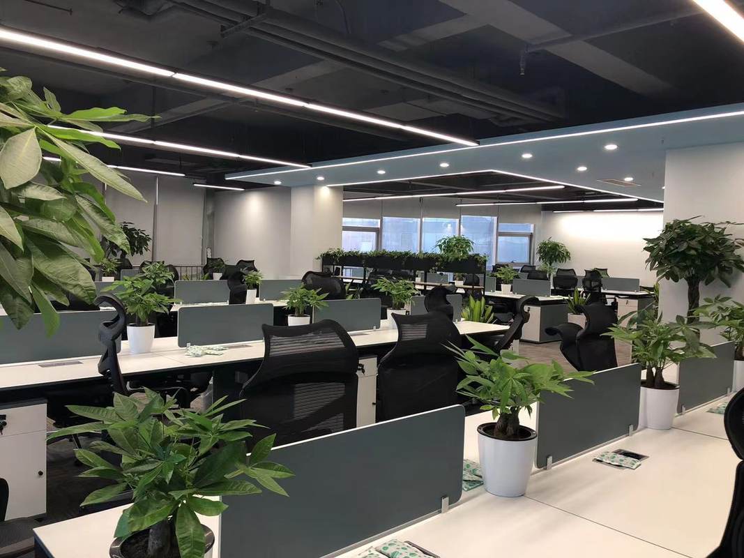 郑州卓见软件科技有限公司