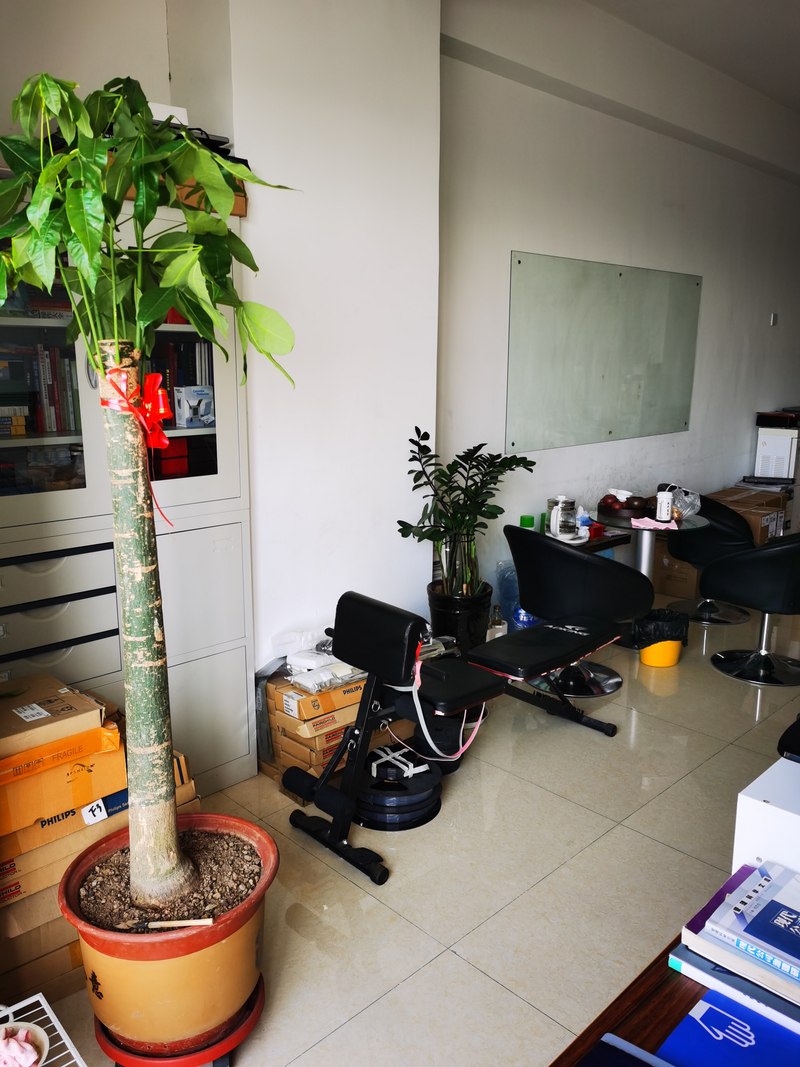 相册图片3