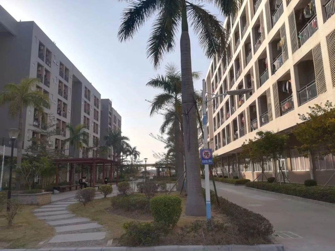 tcl通力电子惠州有限公司