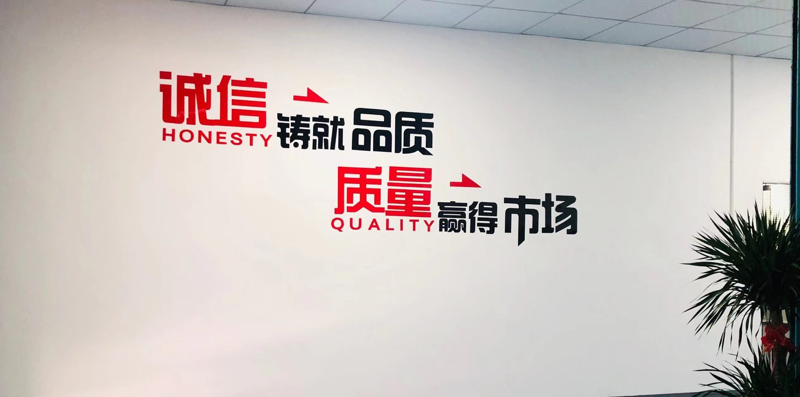 相册图片2