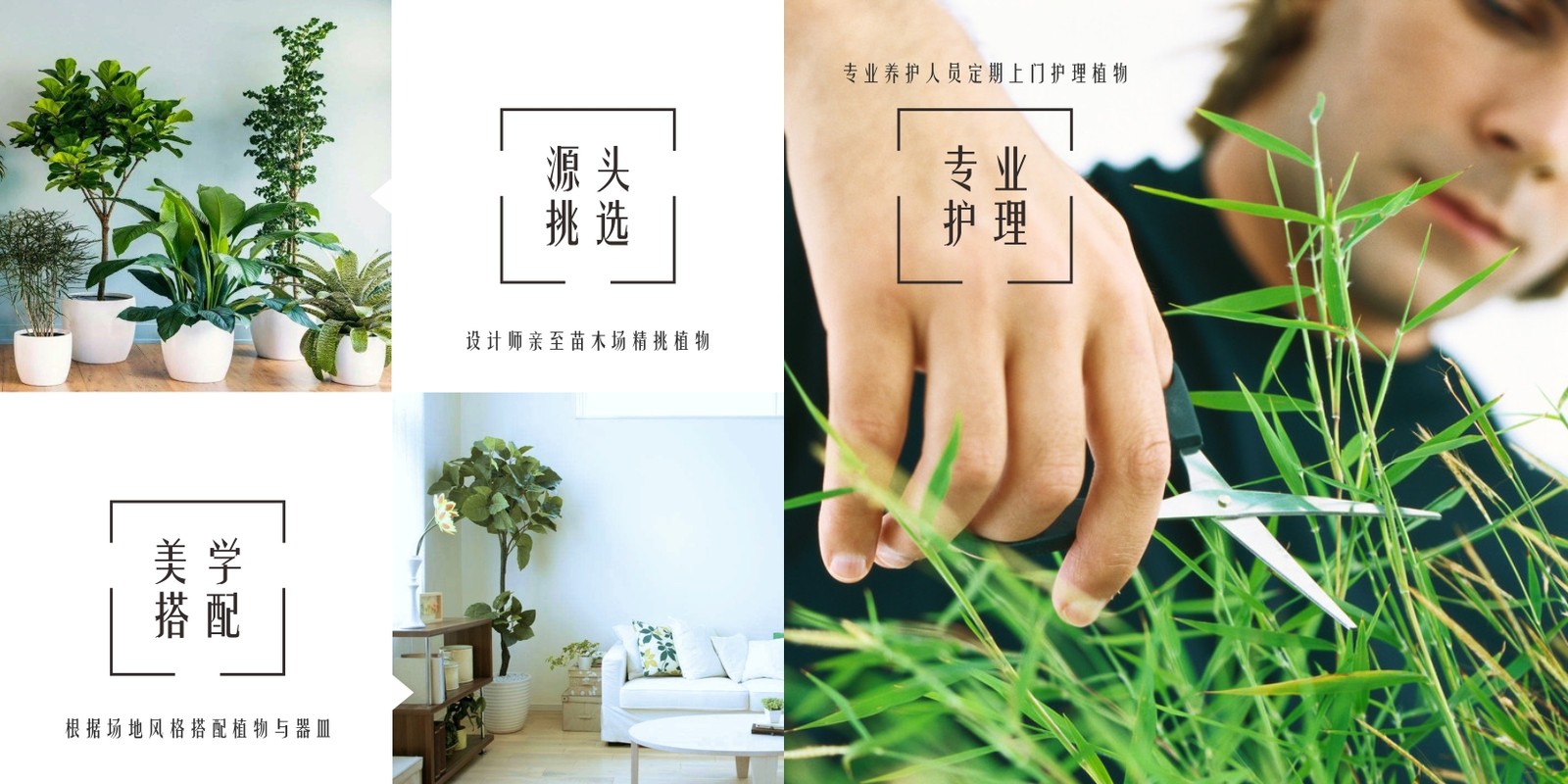 相册图片6