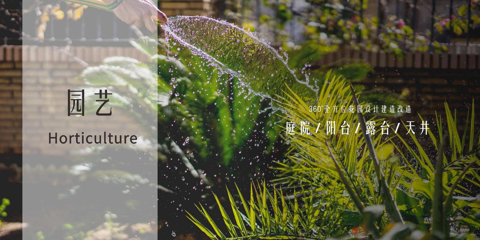 相册图片8
