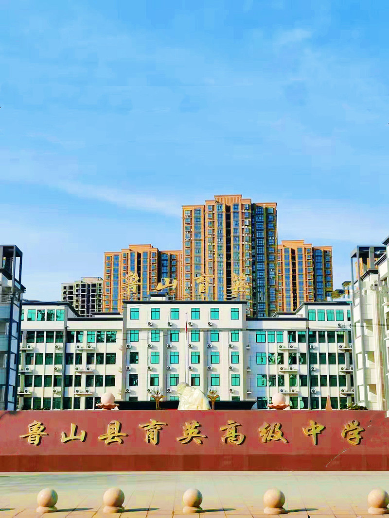 鲁山县育英学校