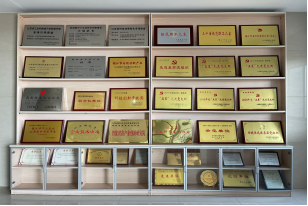 相册图片4