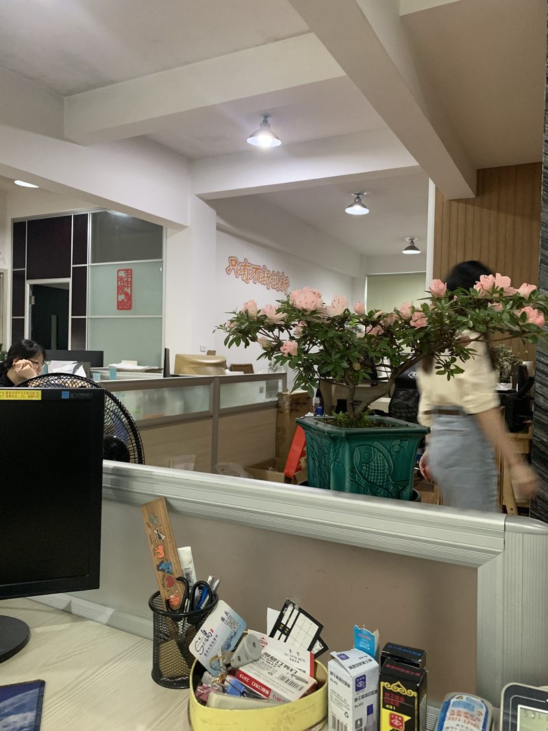 相册图片1