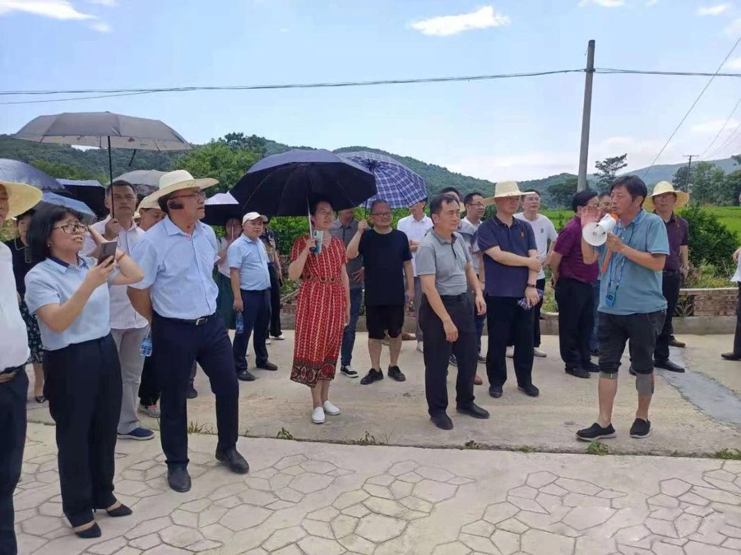 相册图片4