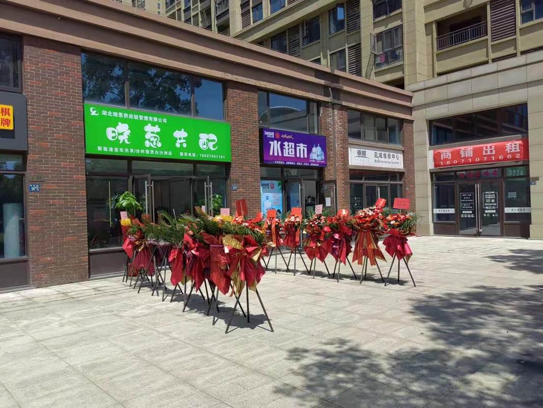 相册图片1