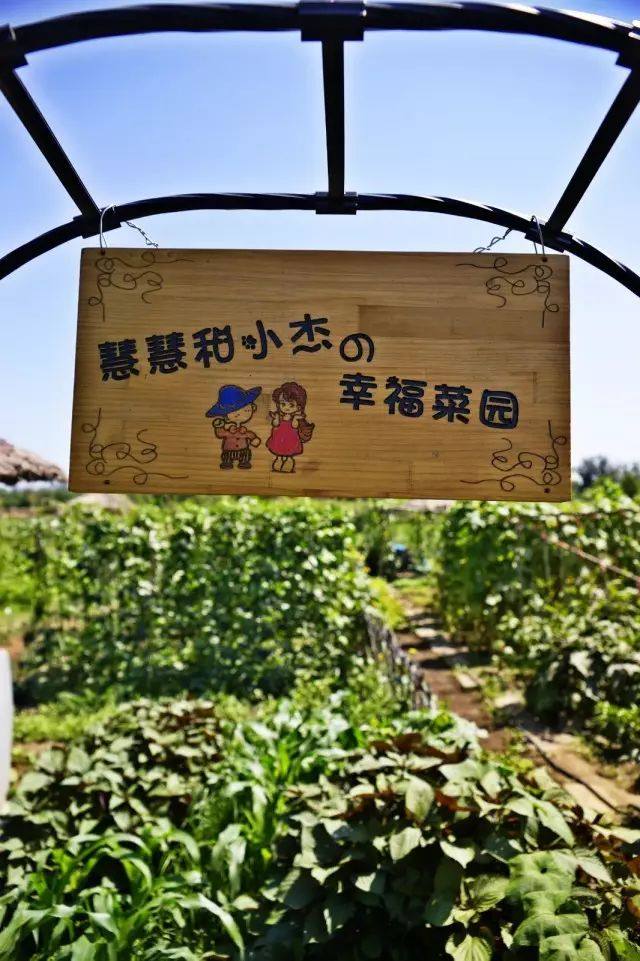 相册图片5