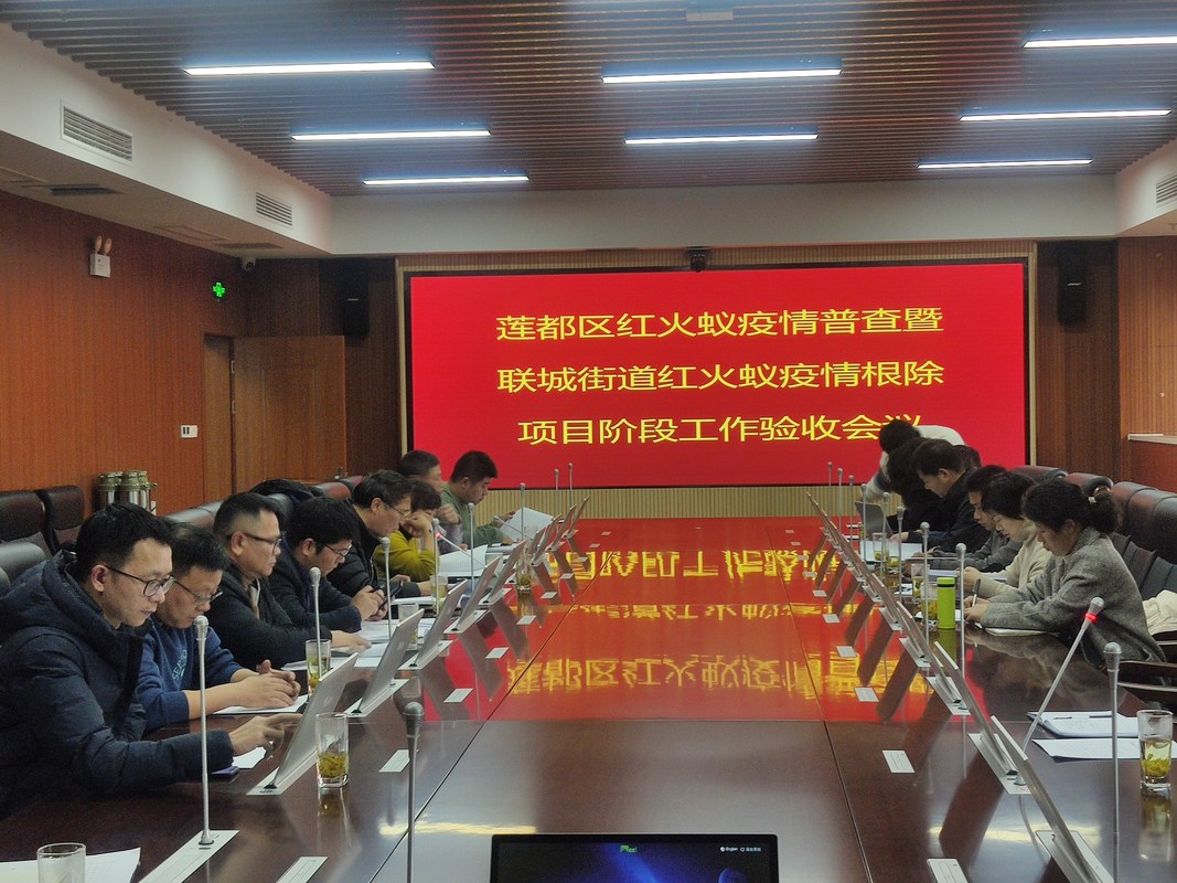 相册图片3