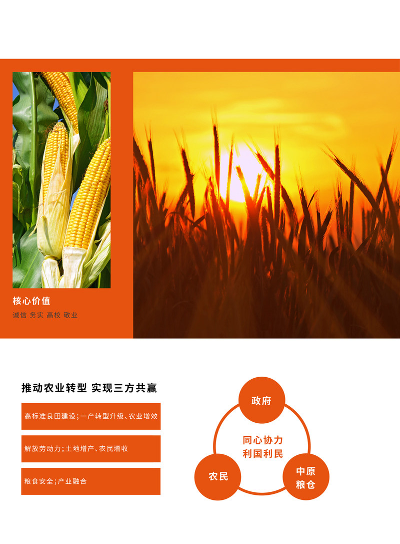 相册图片2