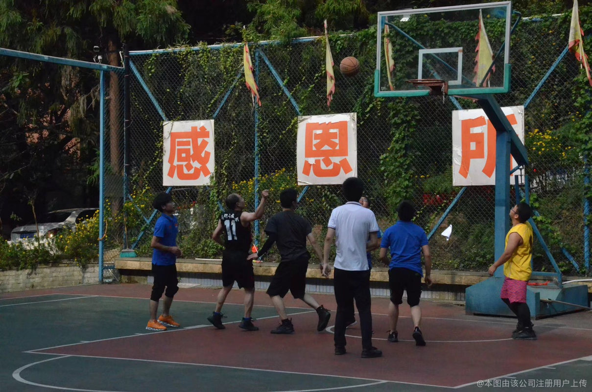 相册图片3