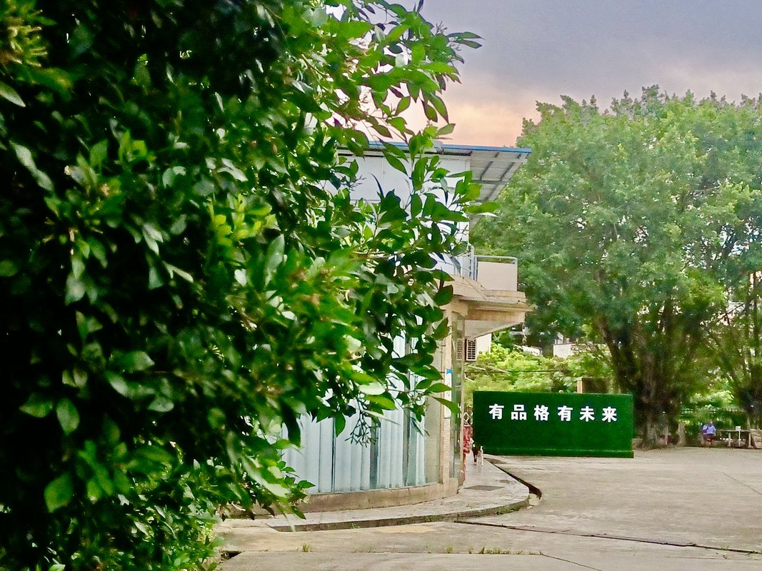 相册图片2