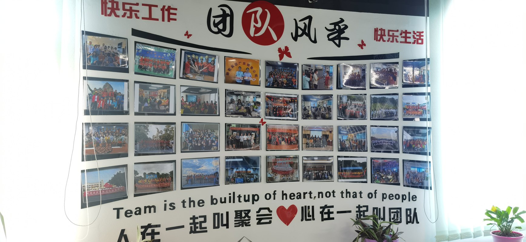 相册图片2