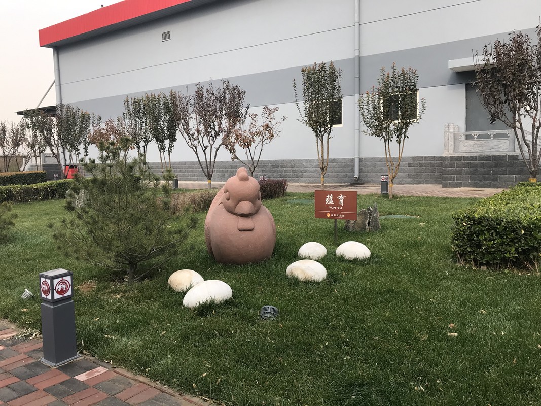 相册图片6