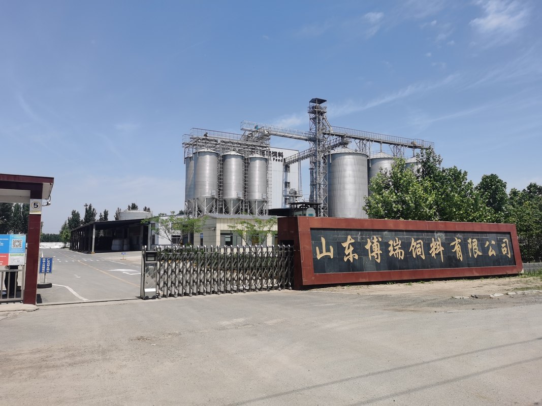 相册图片3