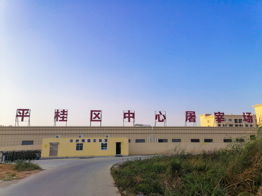 相册图片4