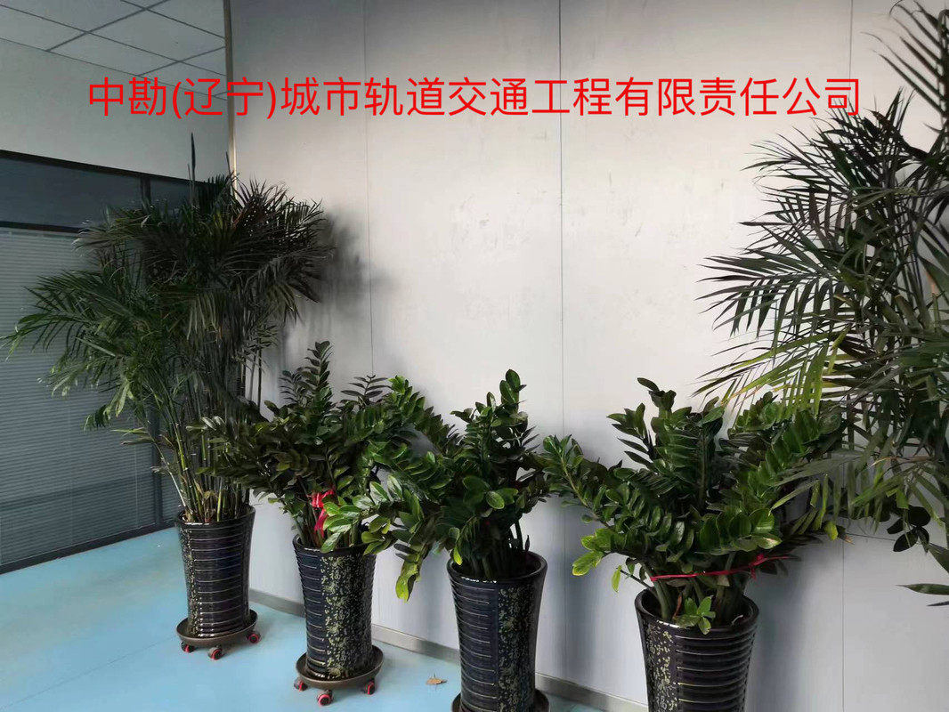 相册图片2