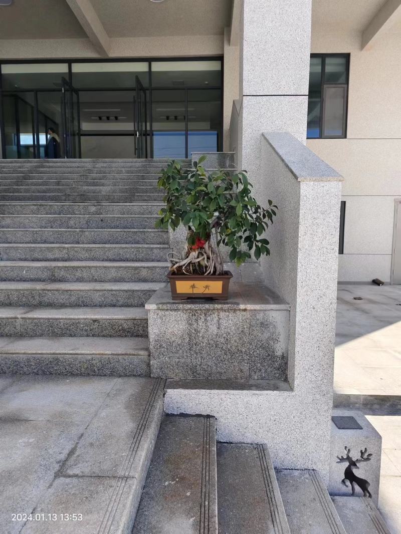 相册图片8