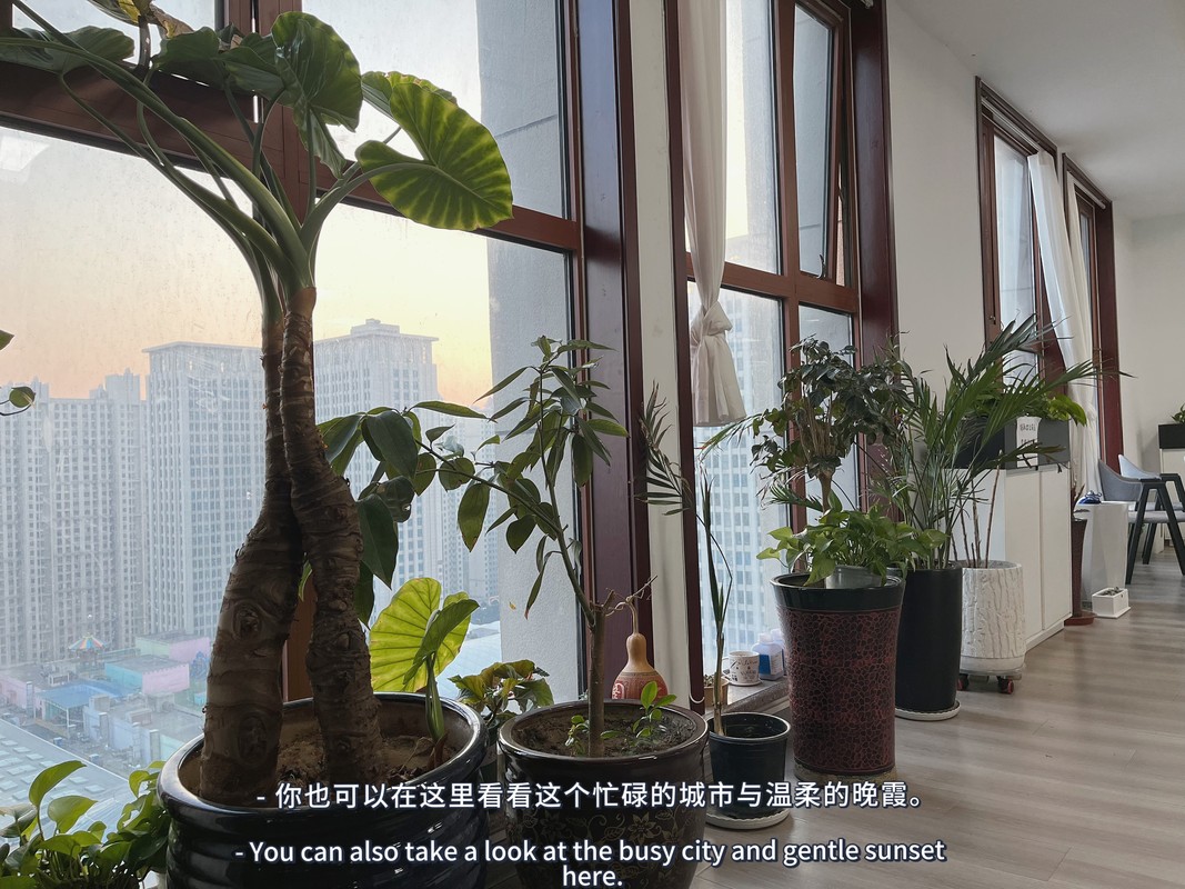 相册图片6
