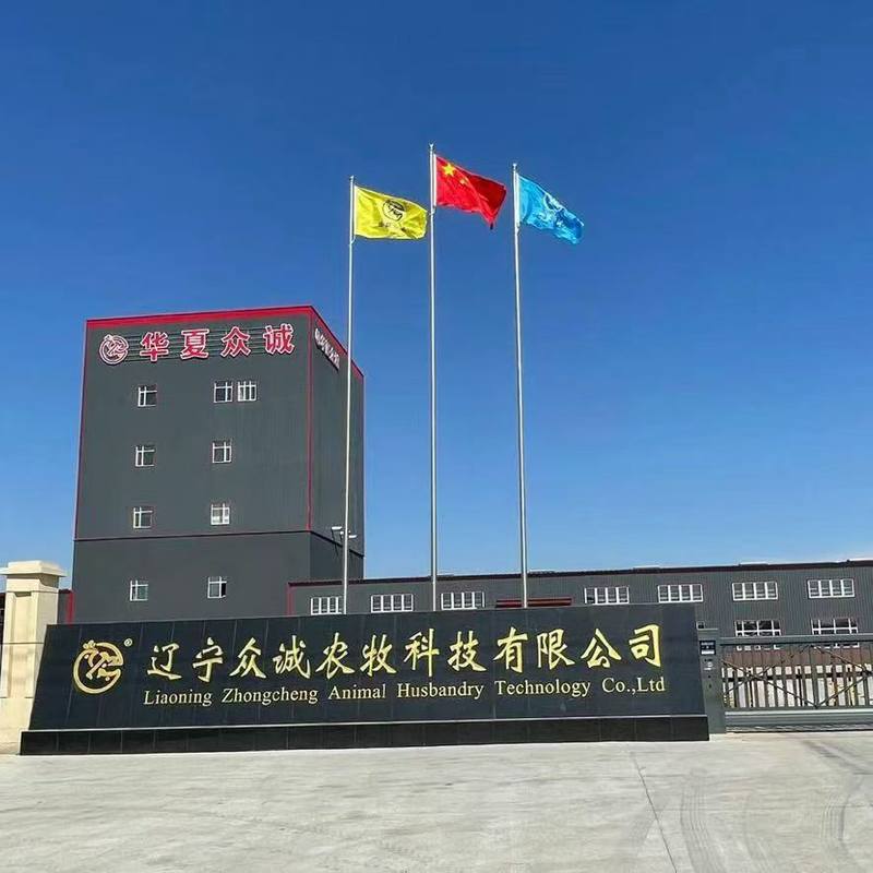 相册图片1