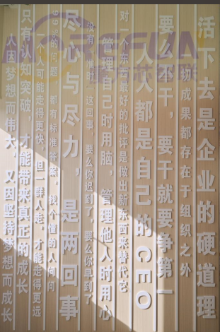相册图片4