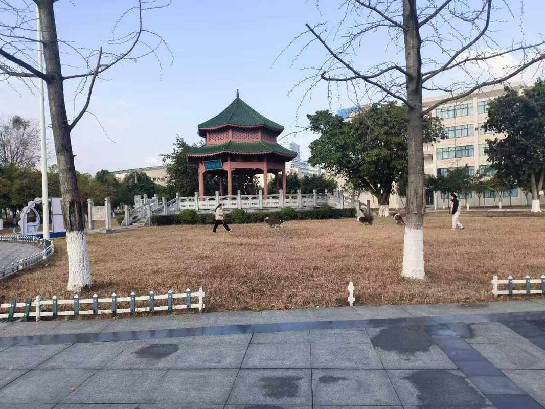 相册图片2
