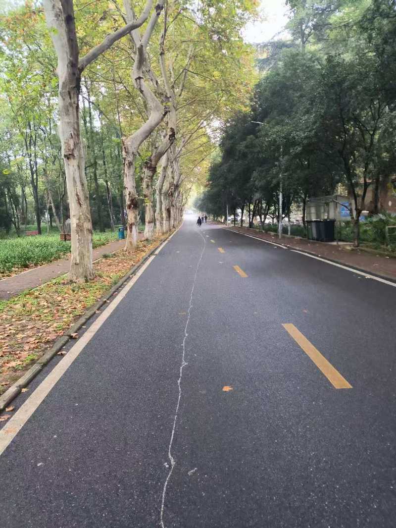 相册图片5