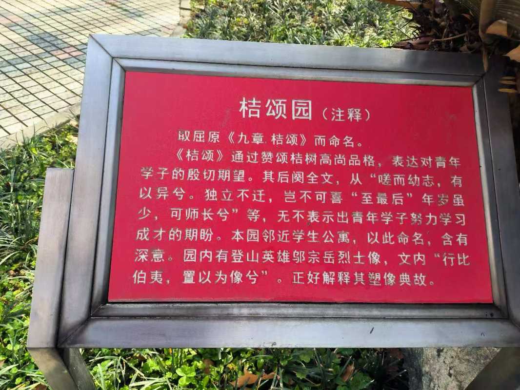 相册图片7