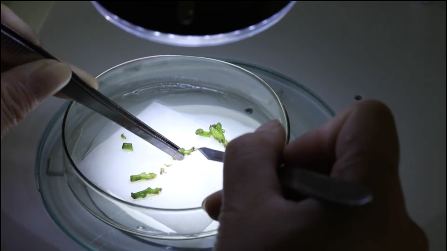 相册图片1