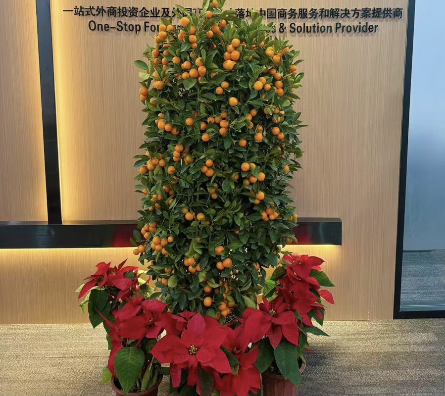 相册图片2