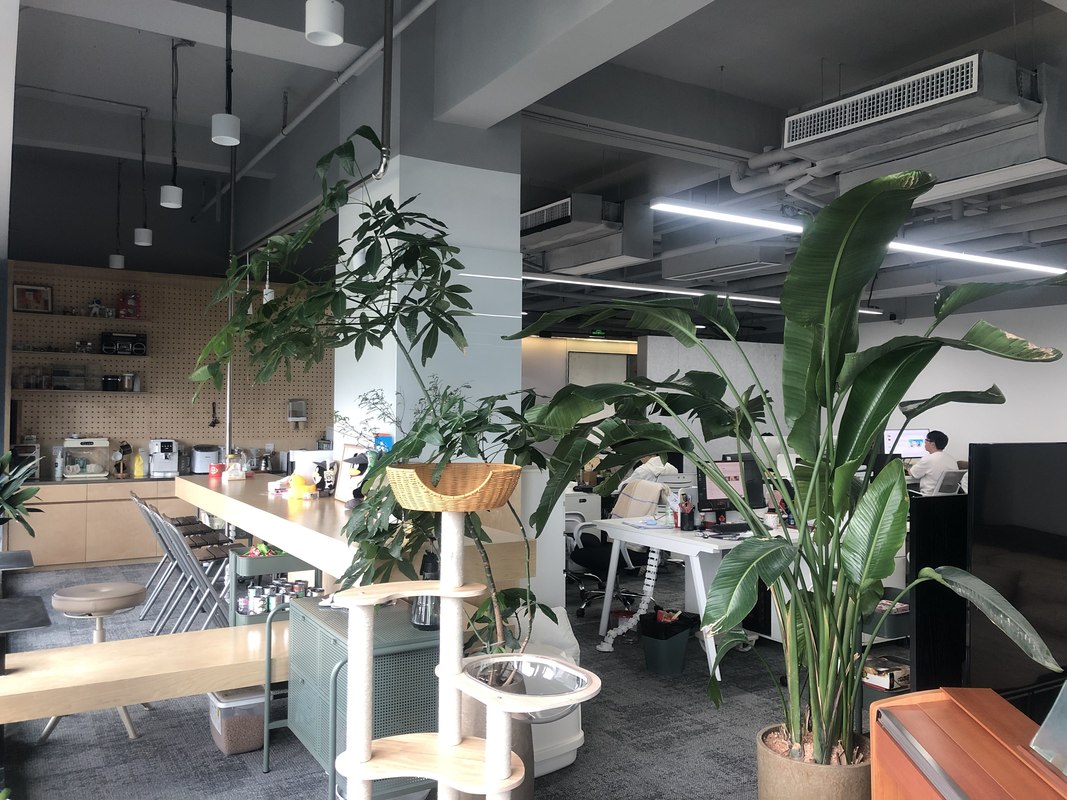 公司图片5