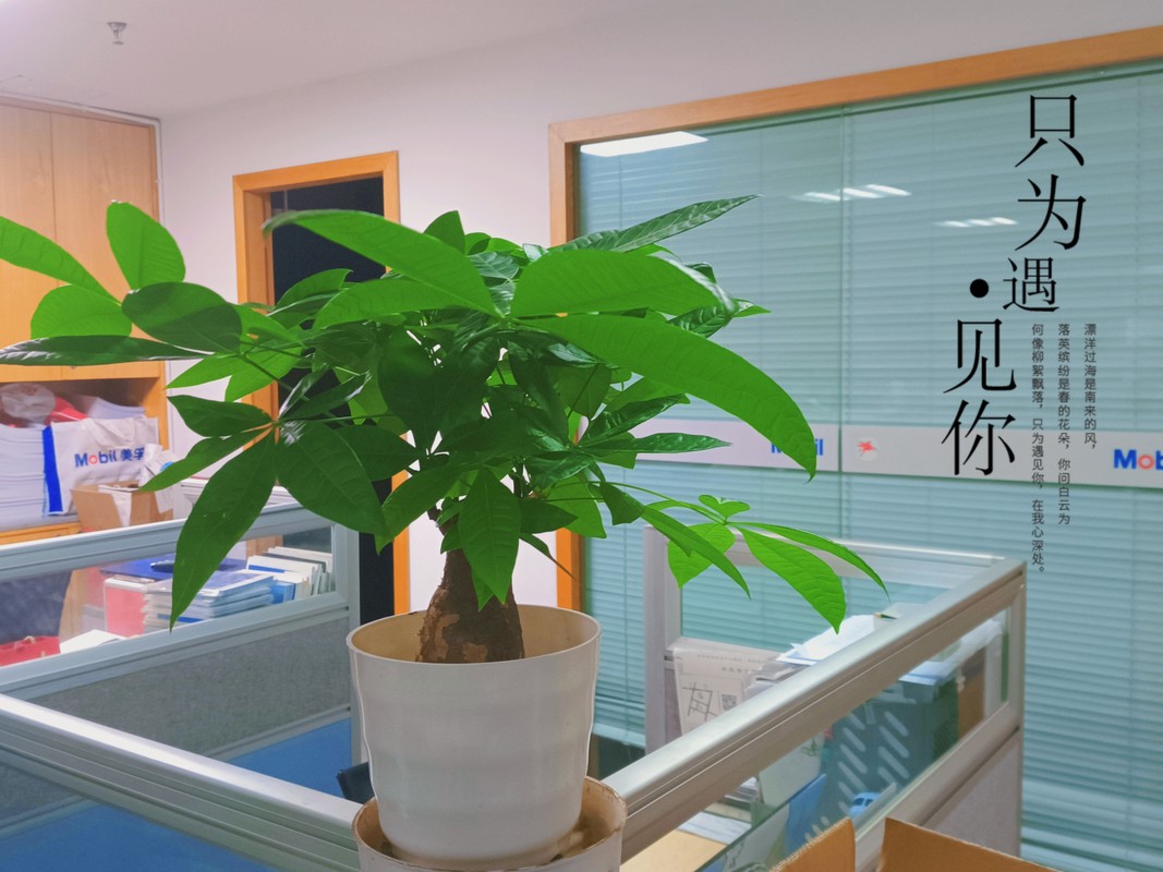 相册图片2