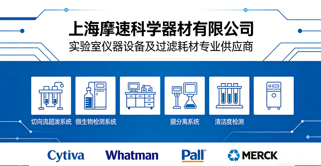 相册图片10