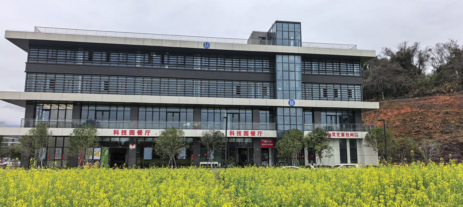 相册图片1