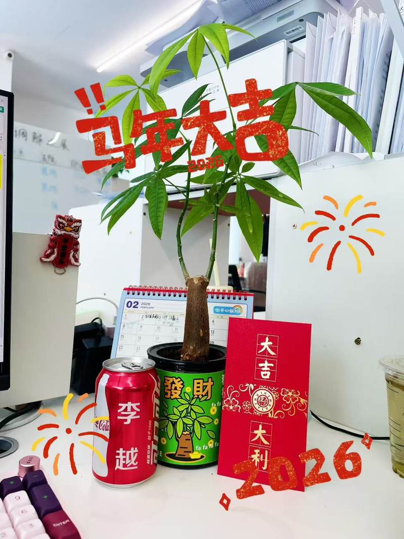 相册图片5