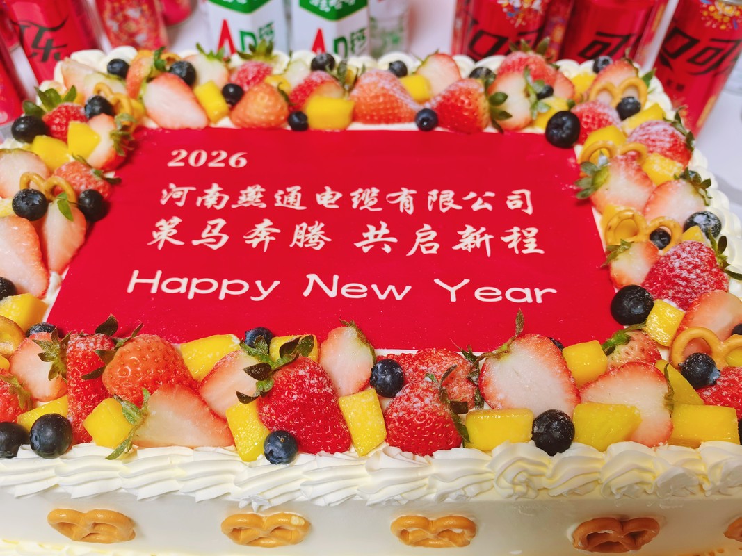 公司图片7