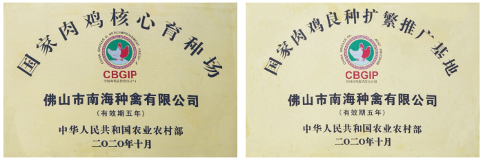 相册图片3