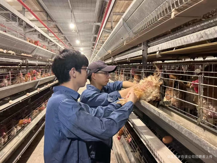 相册图片4