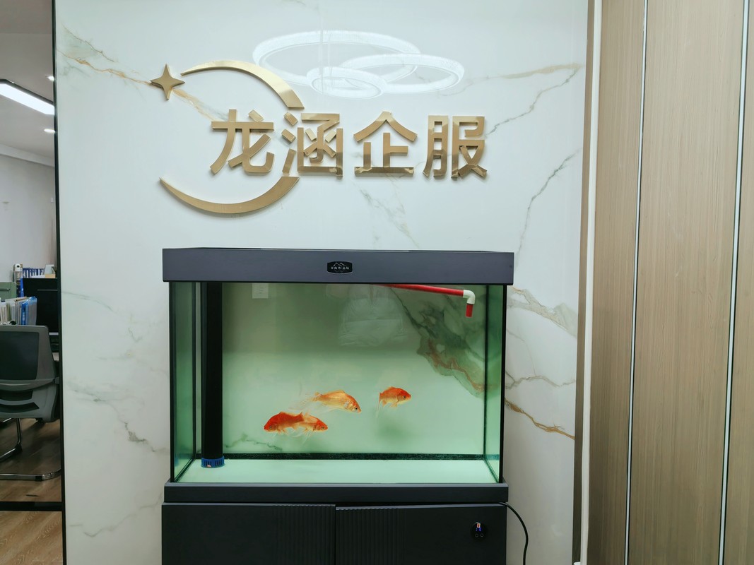 相册图片3