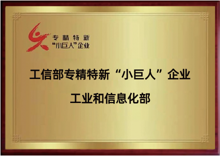 相册图片10