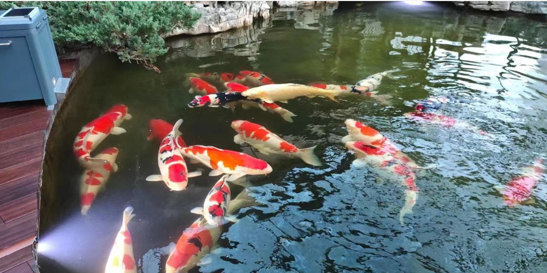 相册图片3